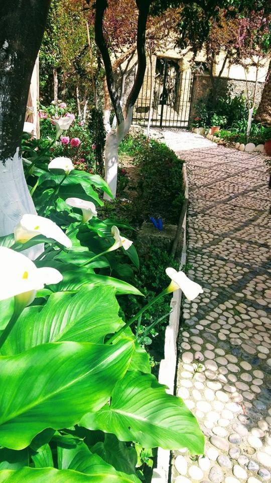 Katerina'S Apartments Agios Gordios  Exterior photo